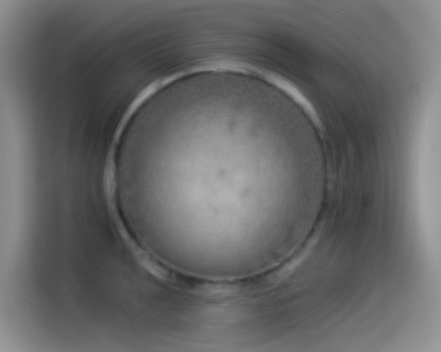 X0000114491040200910191227