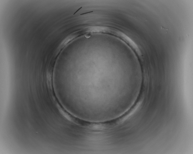 X0000114491041200910191227