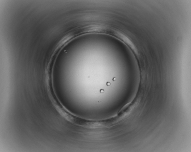 X0000114491042200910191227
