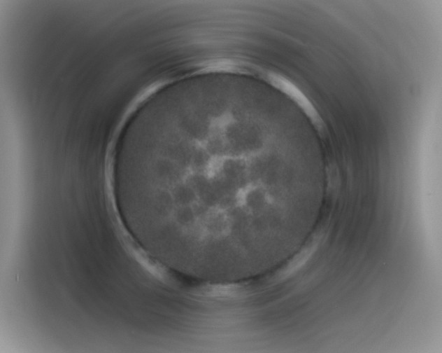 X0000114491043200910191227