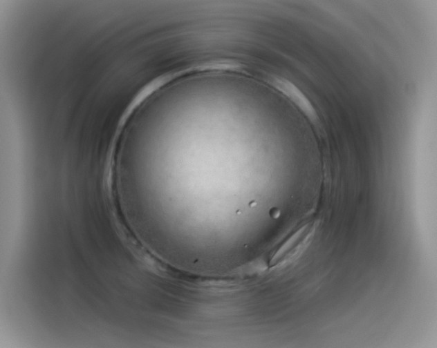 X0000114491044200910191227