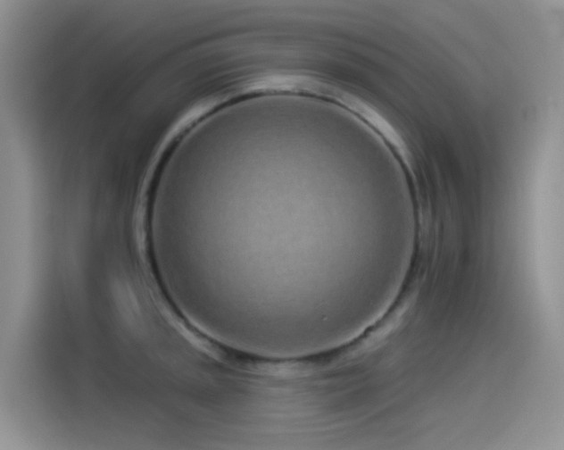 X0000114491045200910191227