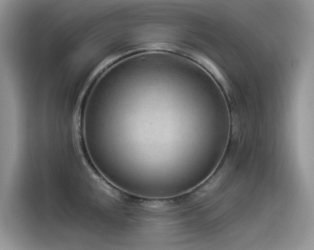 X0000114491048200910191227