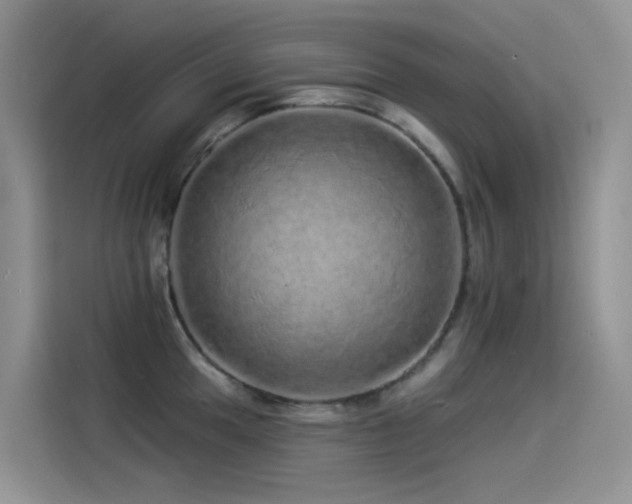 X0000114491049200910191227