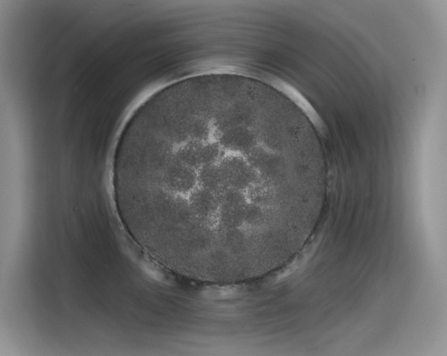 X0000114491051200910191227