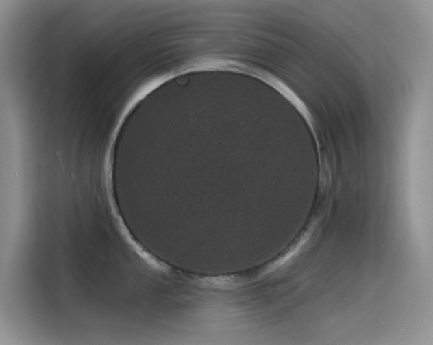 X0000114491053200910191227
