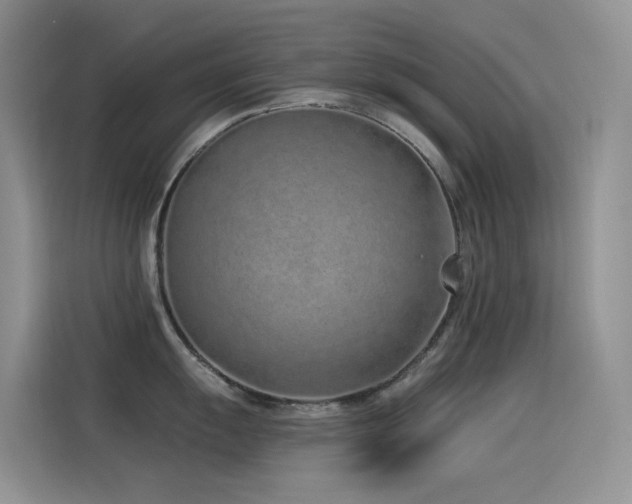 X0000114491055200910191227