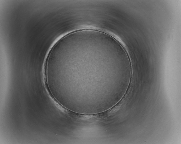 X0000114491056200910191227