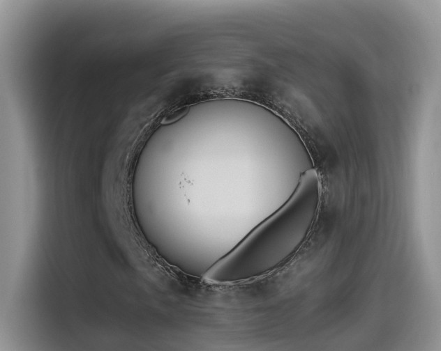 X0000114491057200910191226