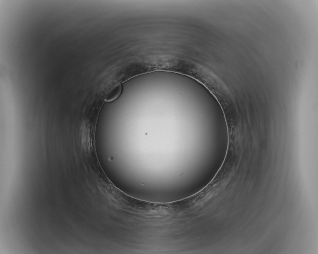 X0000114491058200910191226