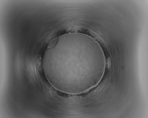 X0000114491059200910191226