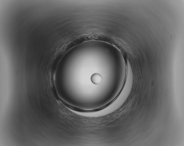 X0000114491060200910191226