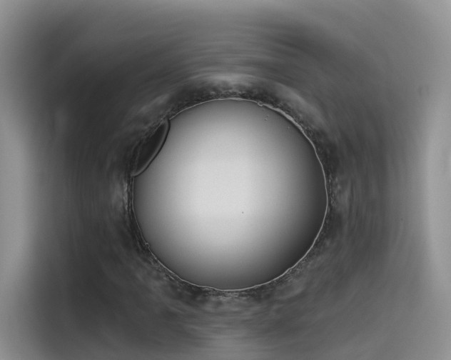 X0000114491061200910191226