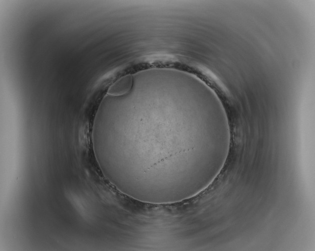 X0000114491063200910191226