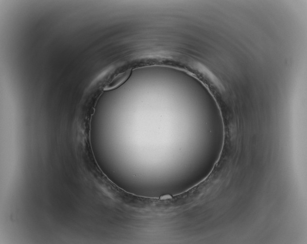 X0000114491064200910191226