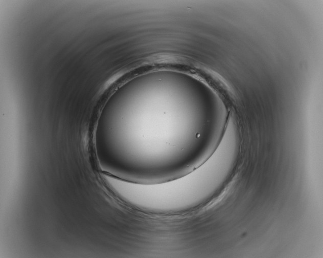 X0000114491065200910191226