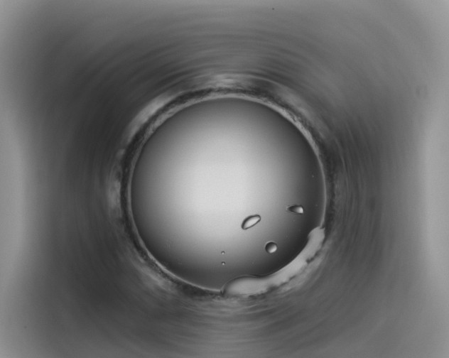 X0000114491066200910191226