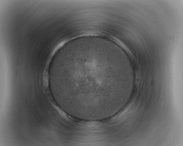X0000114491067200910191226