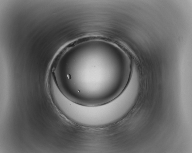 X0000114491068200910191226