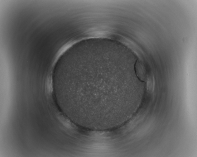 X0000114491069200910191226