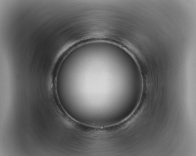 X0000114491070200910191226