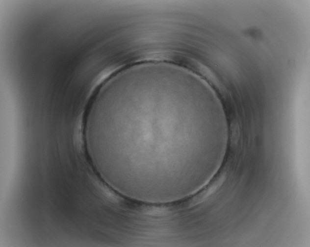 X0000114491071200910191226