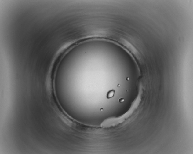 X0000114491072200910191226