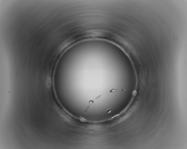 X0000114491073200910191226
