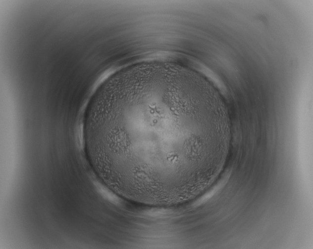 X0000114491075200910191226