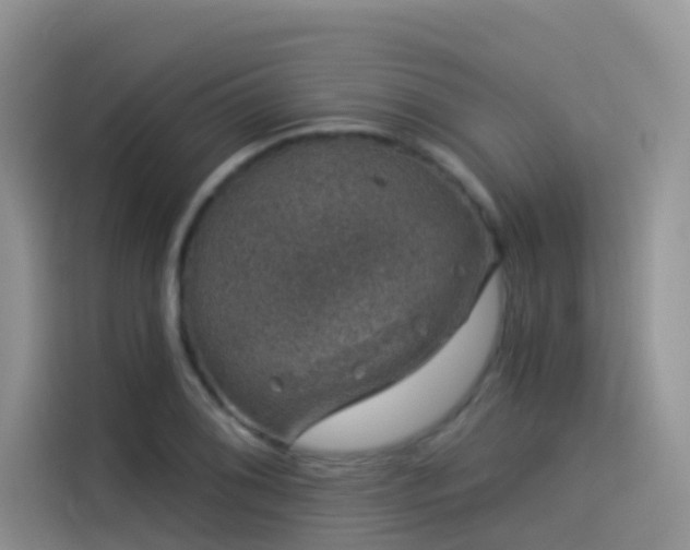 X0000114491076200910191226
