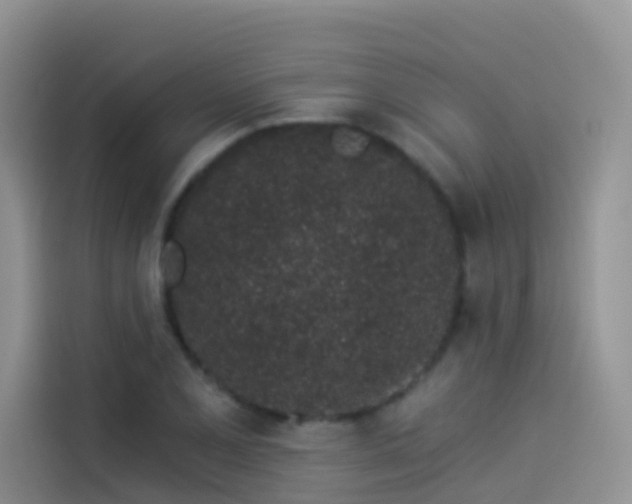 X0000114491077200910191226
