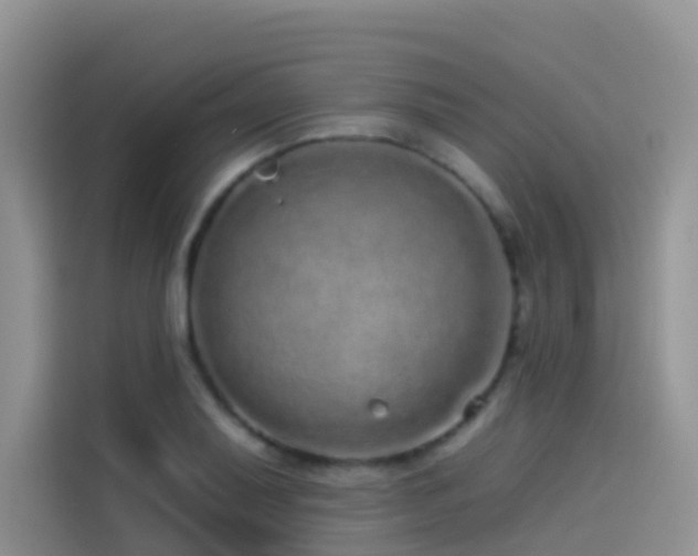 X0000114491079200910191226
