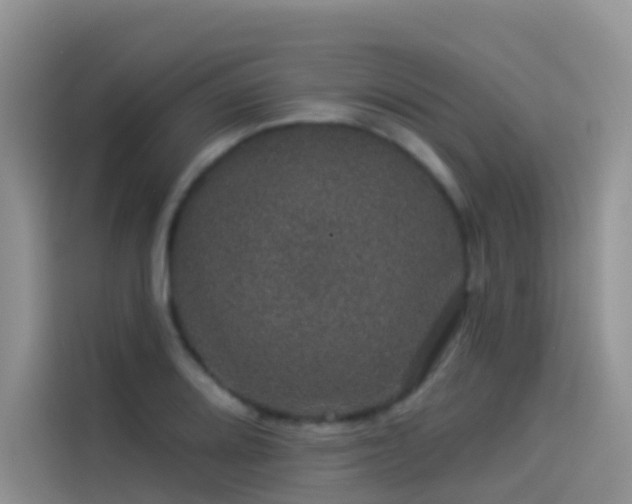 X0000114491080200910191226