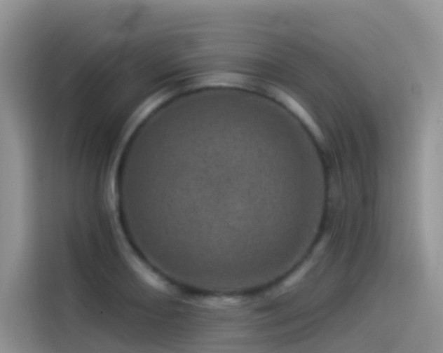 X0000114491082200910191226