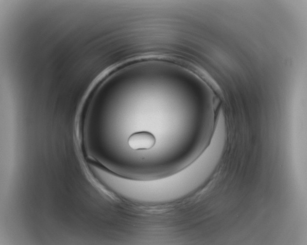 X0000114491084200910191226