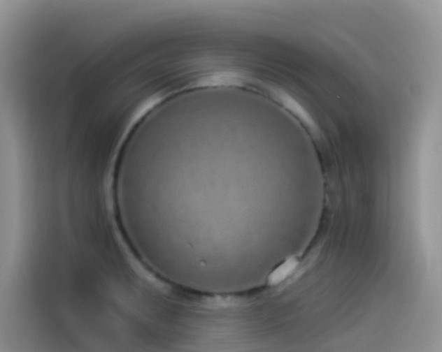 X0000114491087200910191226