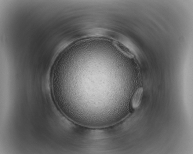X0000114491088200910191226