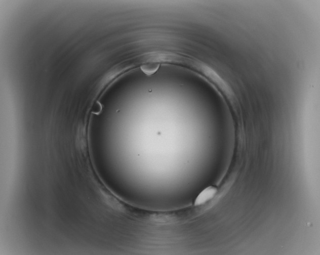 X0000114491089200910191226