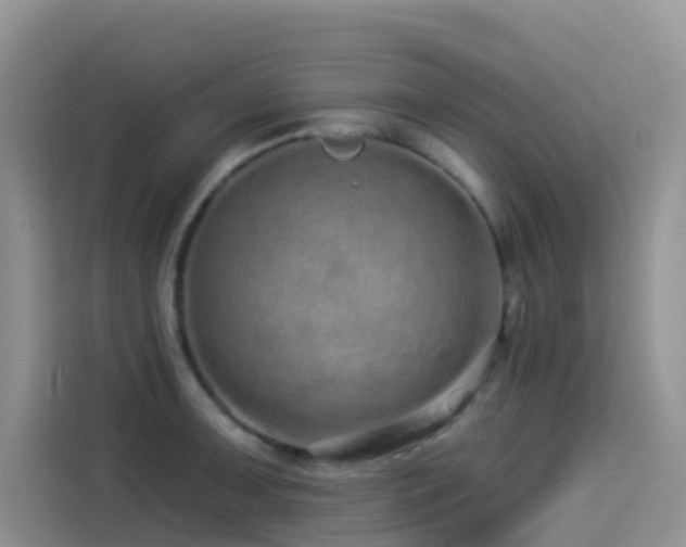 X0000114491091200910191226