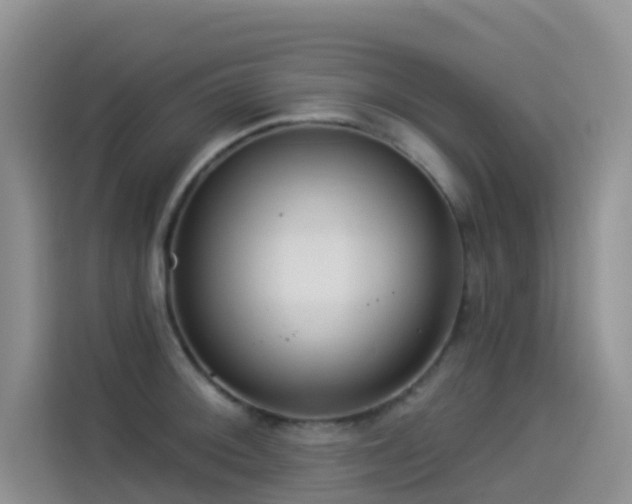X0000114491092200910191226