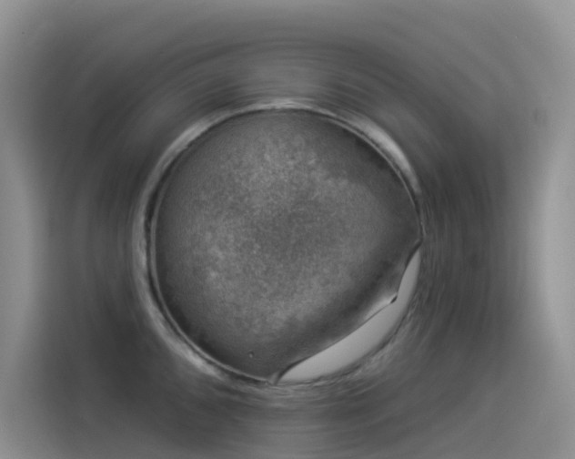 X0000114491096200910191226