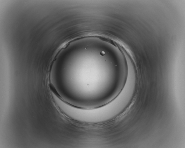 X0000114491097200910191226