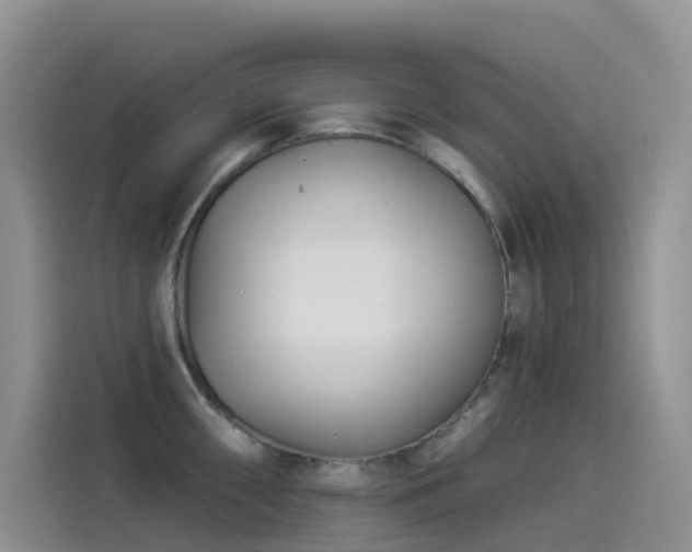 X0000114491098200910191226