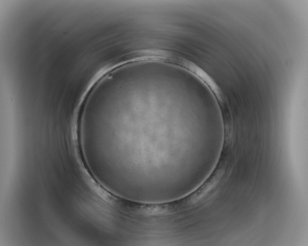 X0000114491099200910191226