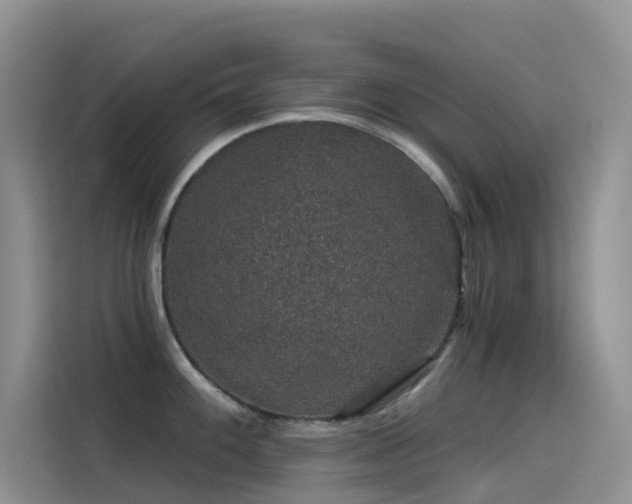 X0000114491100200910191226