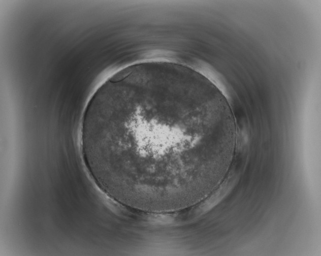 X0000114491101200910191226