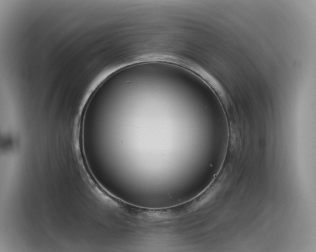 X0000114491102200910191226