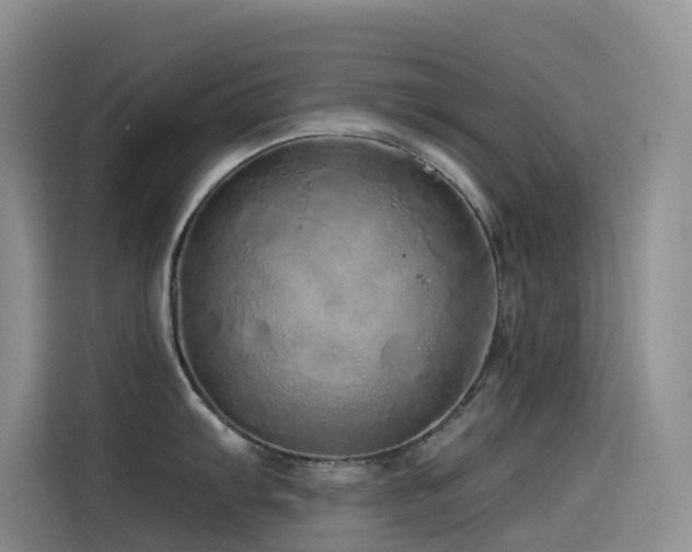 X0000114491103200910191226