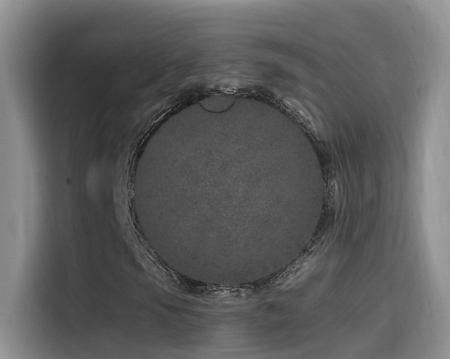 X0000114491105200910191225