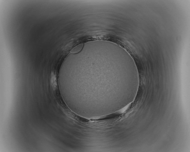 X0000114491106200910191225